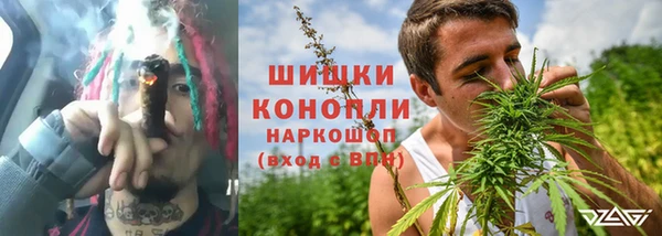 дмт Тавда