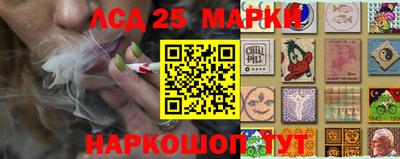 крисы Кинель