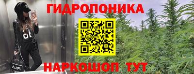 jwh Кингисепп