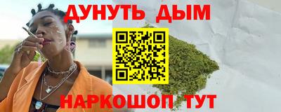 jwh Кингисепп