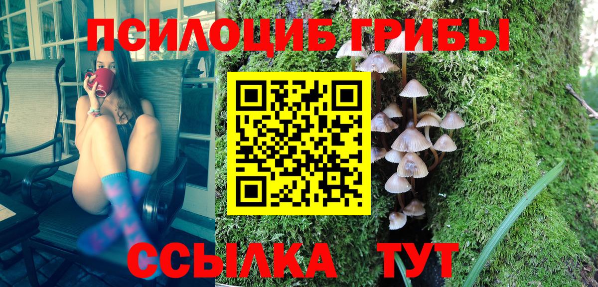 Галлюциногенные грибы GOLDEN TEACHER  Вход с VPN  сколько стоит  Кохма 