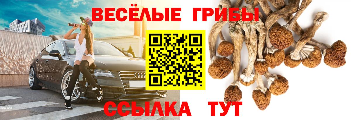 Псилоцибиновые грибы MAGIC MUSHROOMS Кохма